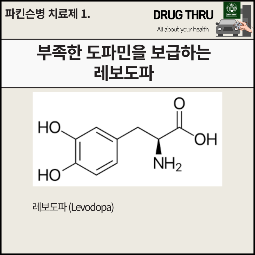 파킨슨 병 약 레보도파