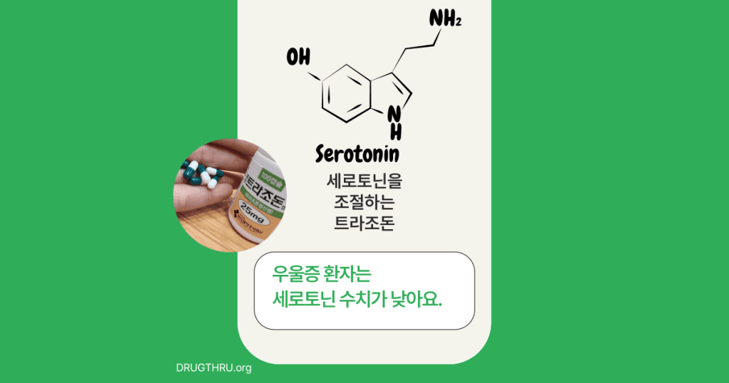 우울증과 세로토닌-명인트라조돈 효과