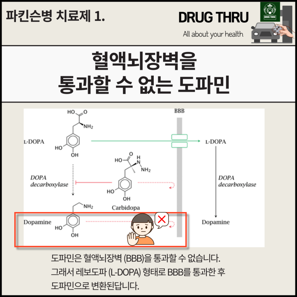 도파민은 BBB를 통과할 수 없다.