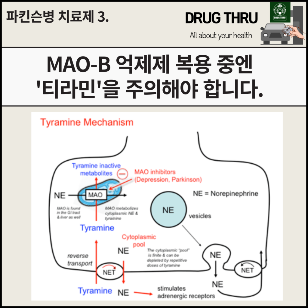 MAO-B 억제제 약물 복용 시 주의할 점
