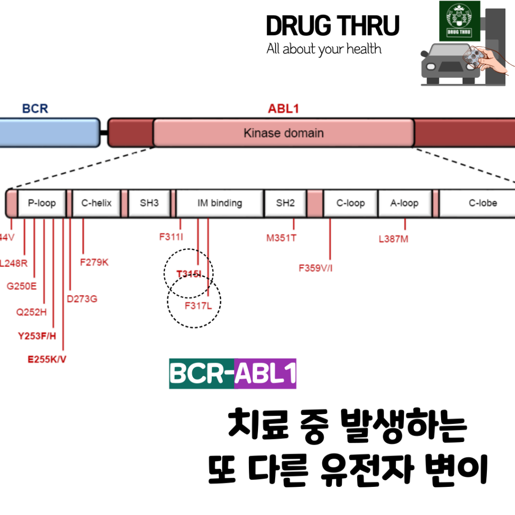 BCR-ABL1 유전자 변이