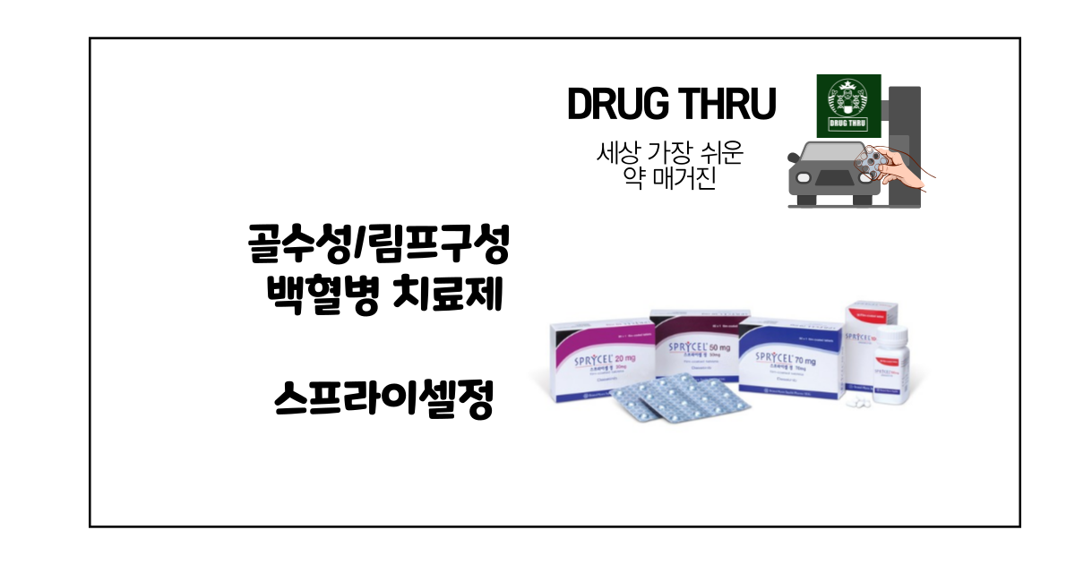 다사티닙 성분의 스프라이셀정