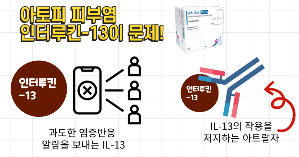 아토피 신약-아트랄자의 원리