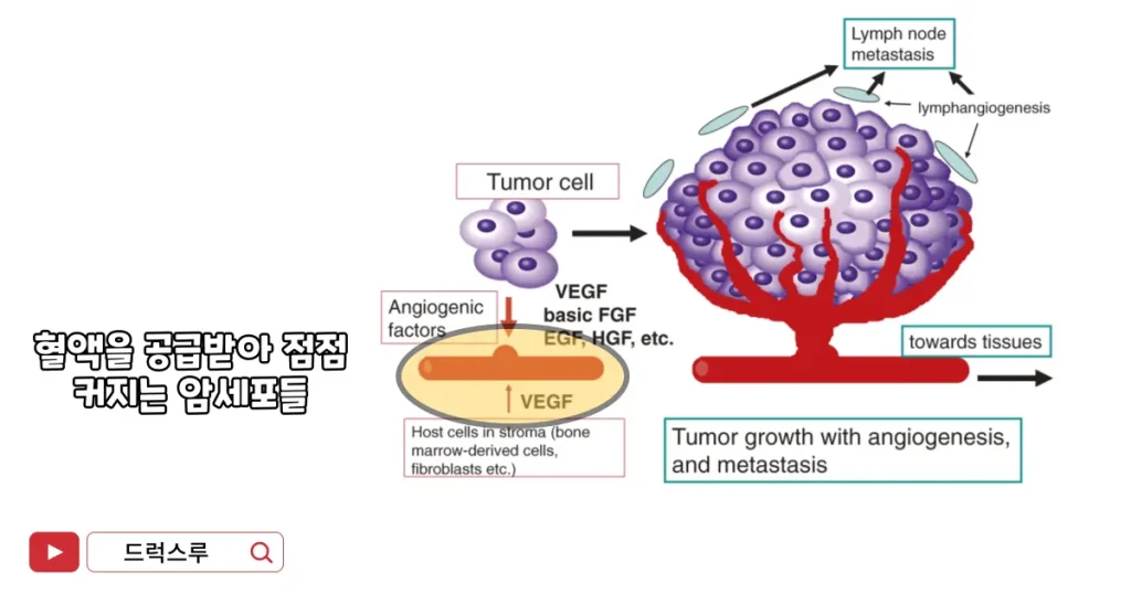 혈관신생억제제-VEGF-아바스틴-베바시주맙