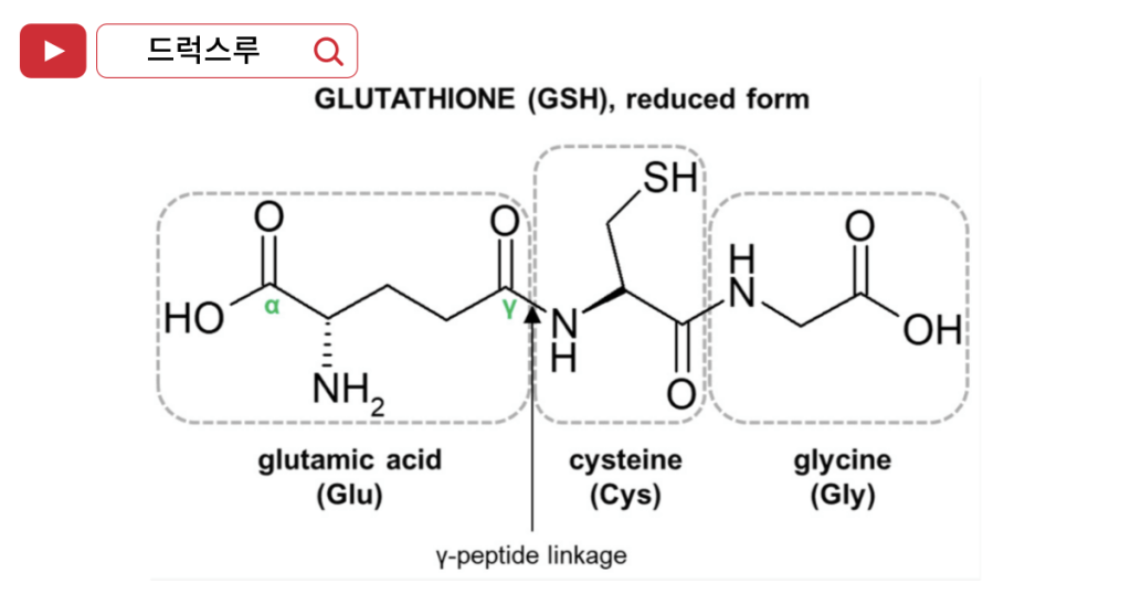 글루타치온-구조