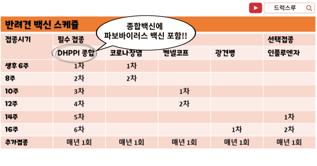 강아지-백신접종-일정-스케쥴