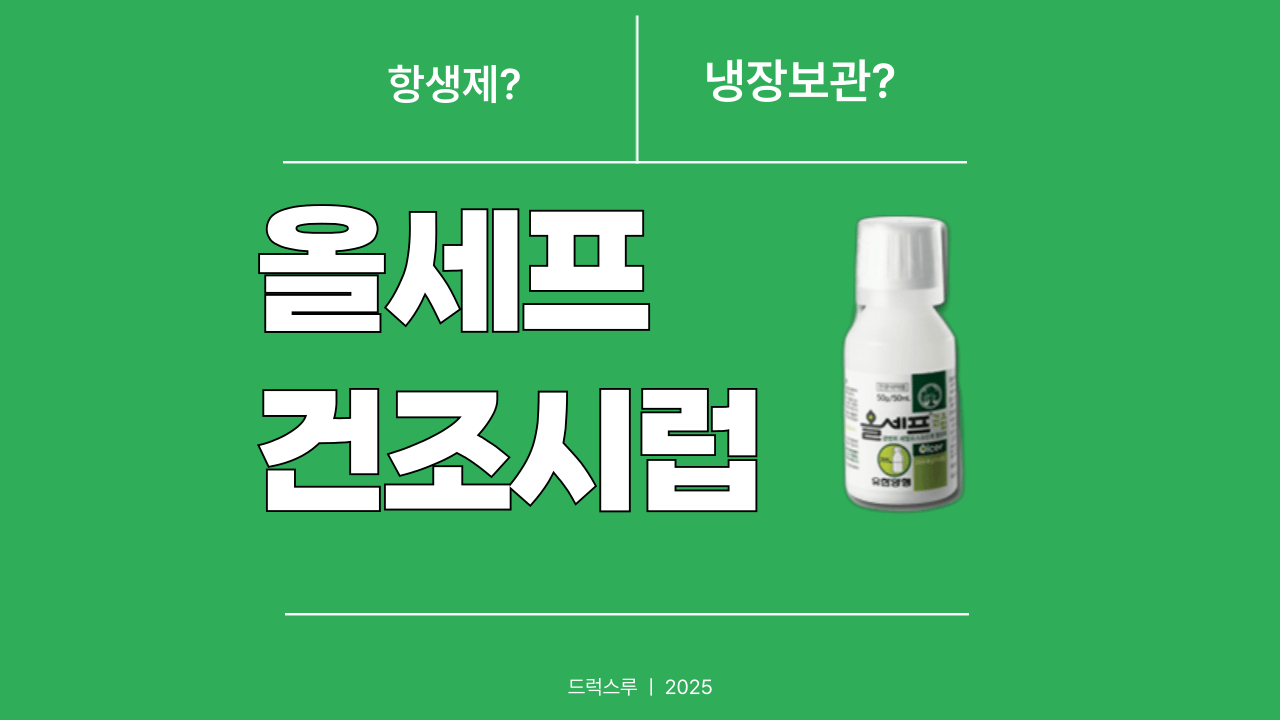 올세프건조시럽_항생제_약사가알려드려요