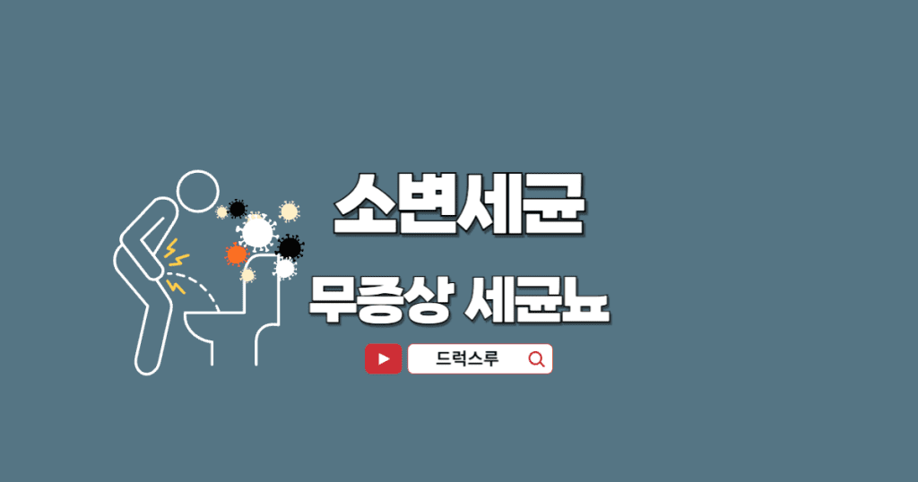 소변세균-무증상 세균뇨