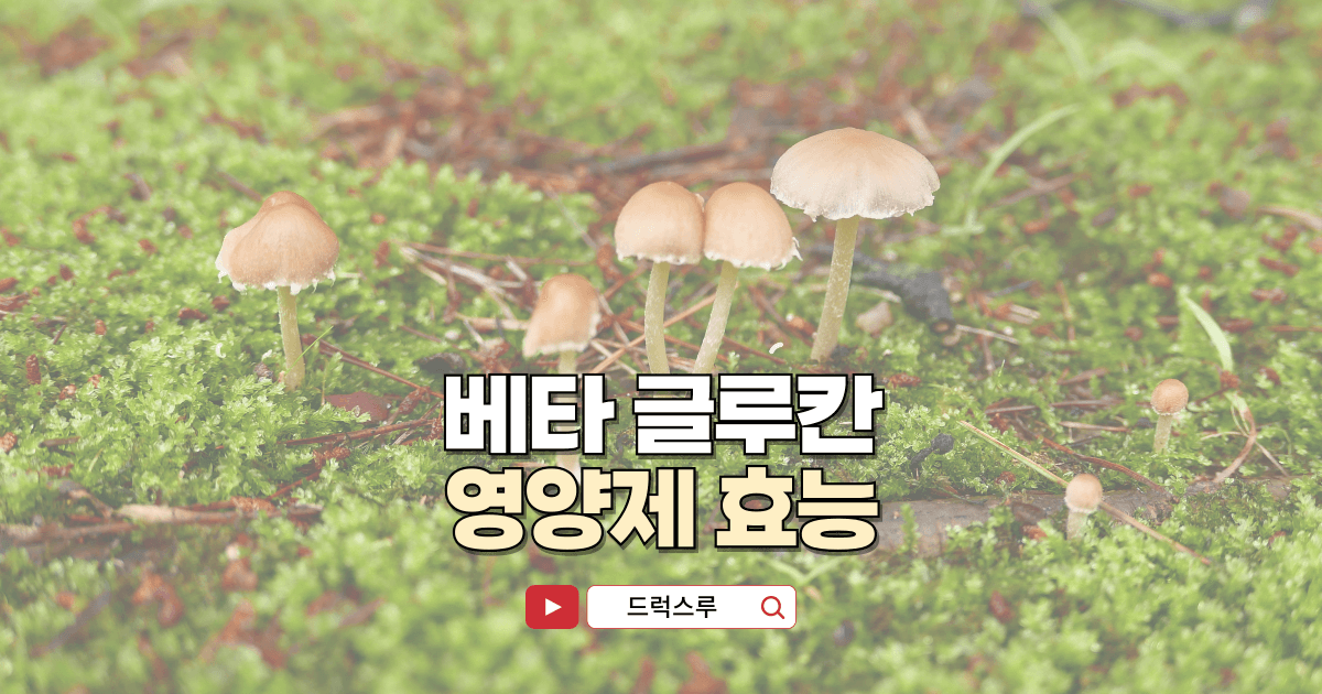 베타글루칸-영양제-효능