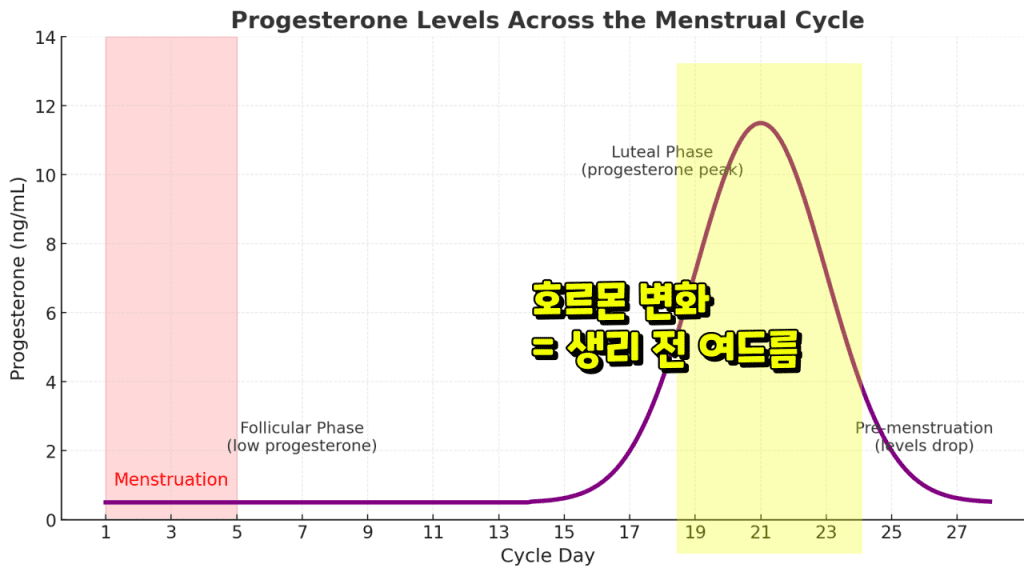생리전-여드름-원인-호르몬-변화-프로게스테론-안드로겐-테스토스테론