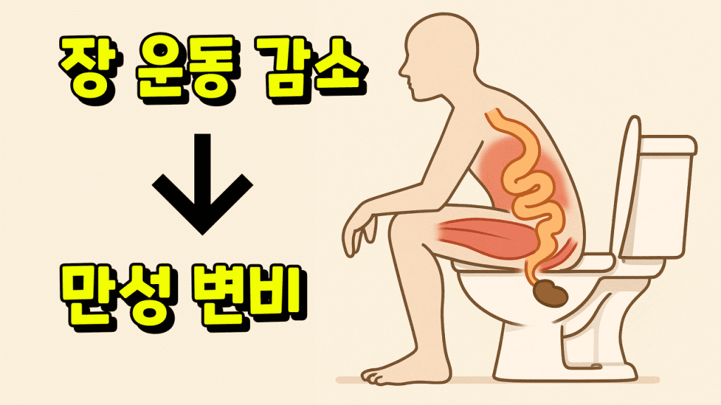 노인변비-노인성변비-원인-이유