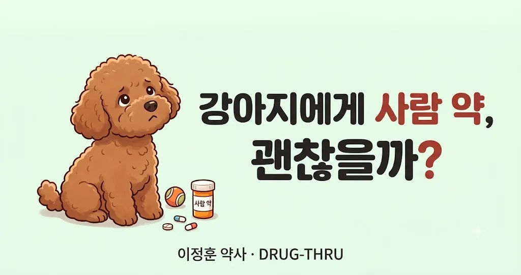강아지 사람약