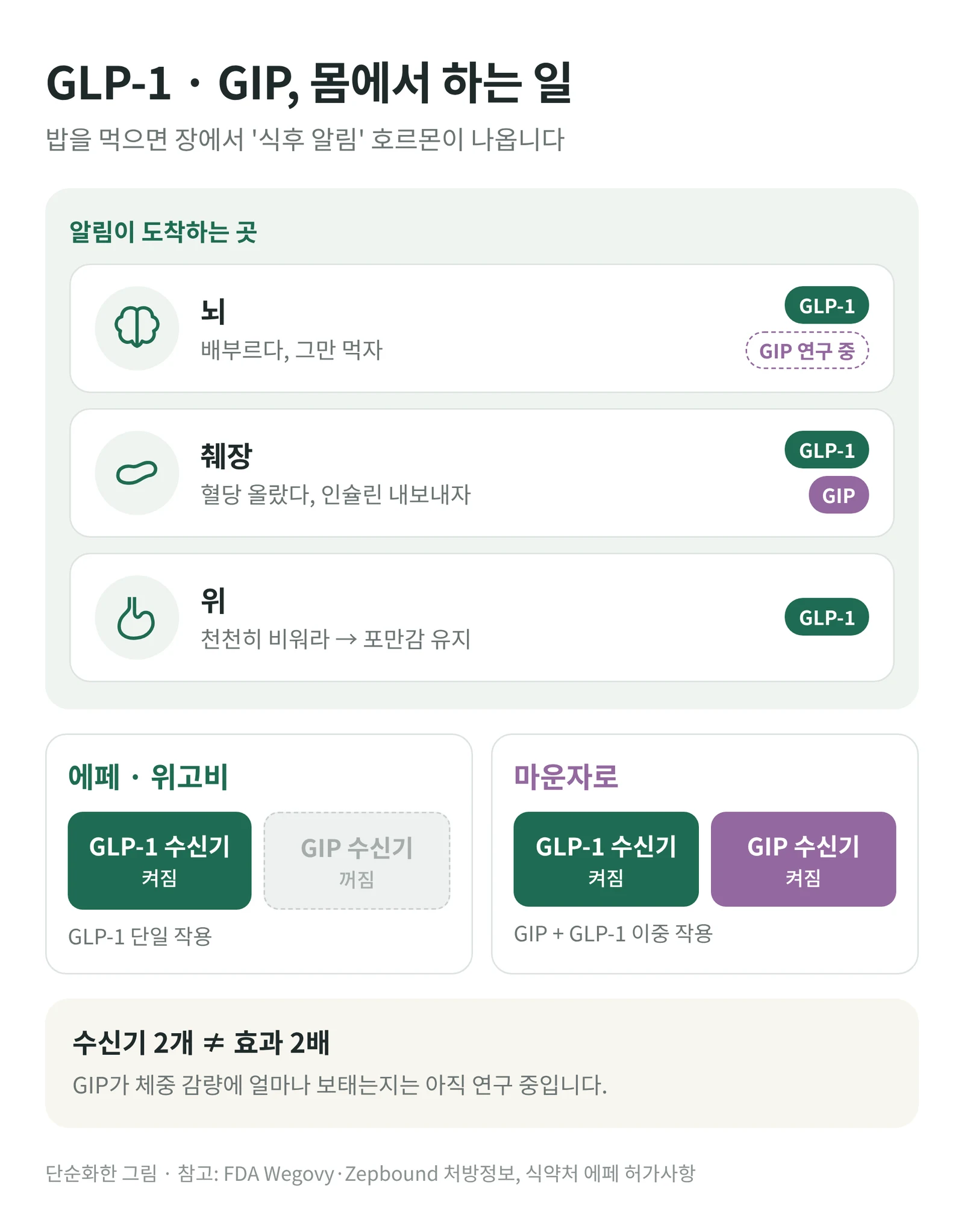 에페 위고비 마운자로 차이, GLP-1 GIP 수용체 작용 기전 그림